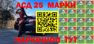 индика Малгобек