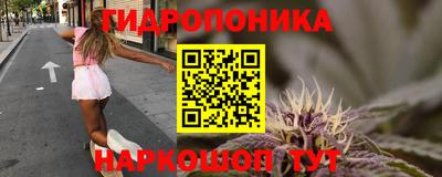 индика Малгобек